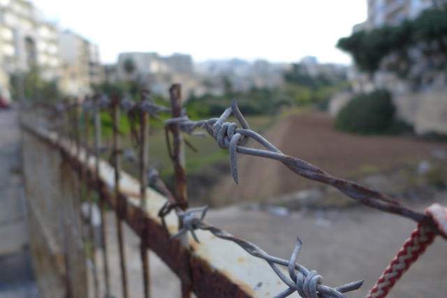 Rabbit Proof Fence