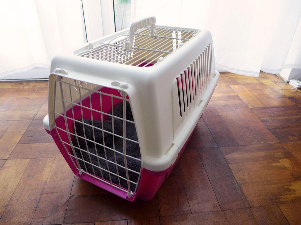 Cat carrier