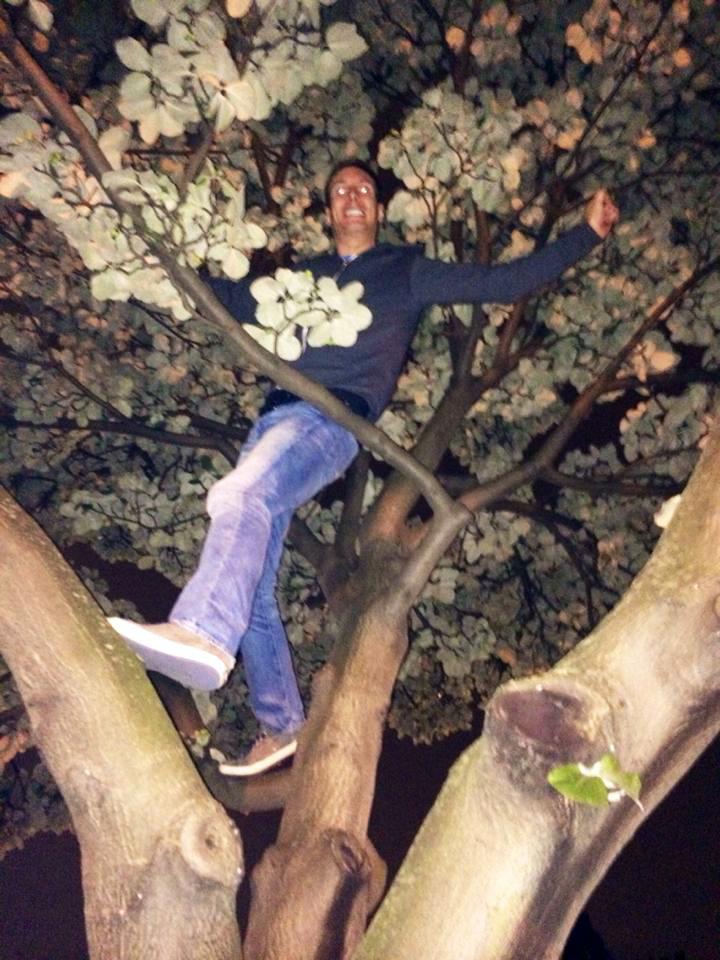 Up a tree