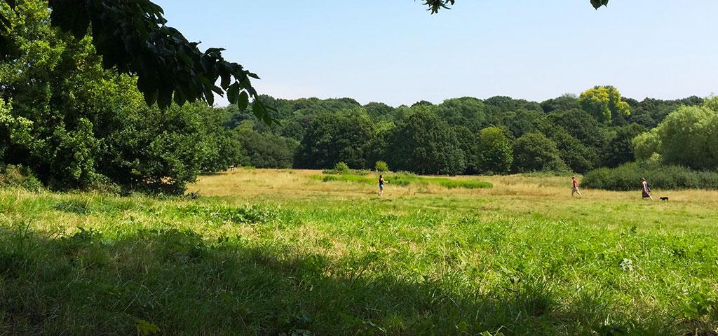 Hampstead Heath