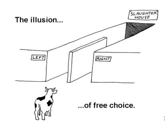 Free Will