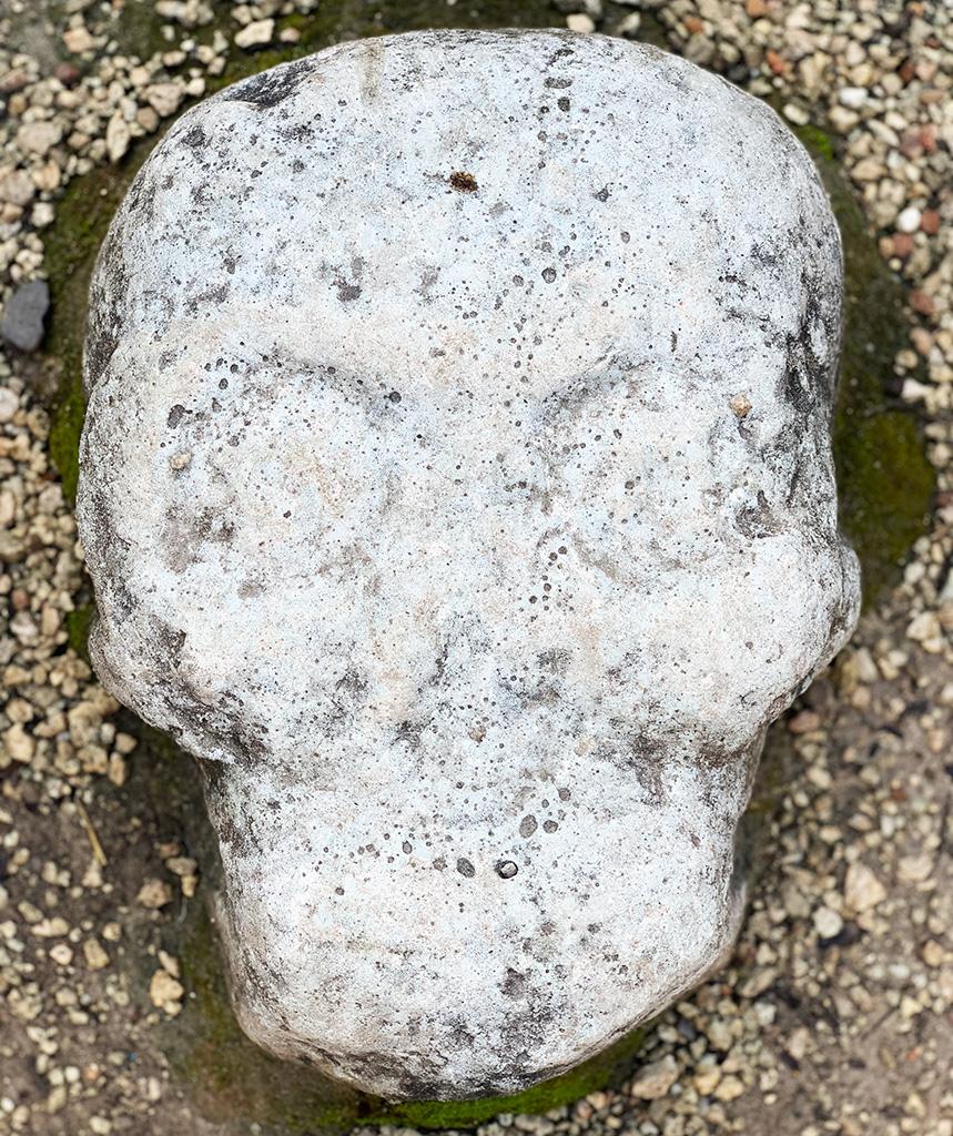 An Essay on Mortality