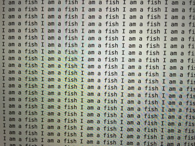 I am a fish