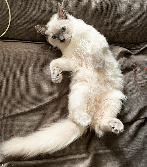 Slob