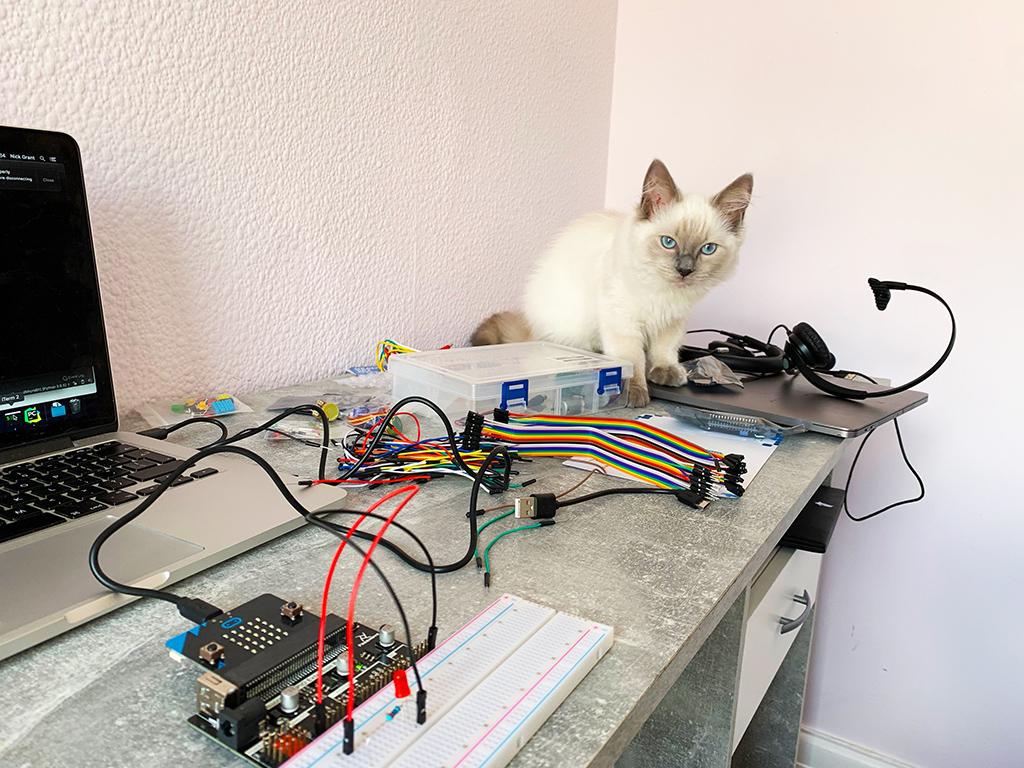 Electronicat