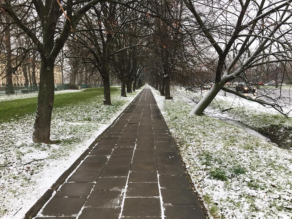 Winter is a Nightmare